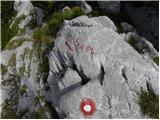 Planina Ravne - Kocbekov dom na Korošici